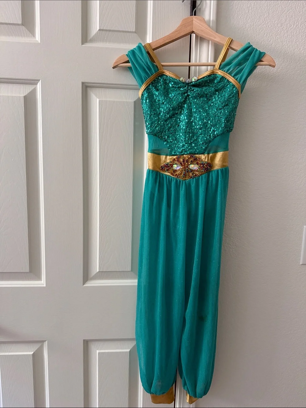 Princess Jasmine Costume